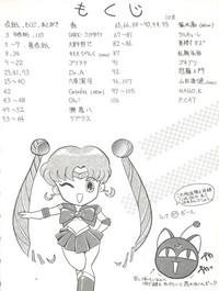 PUSSY CAT Vol. 26 Sailor Moon 3 4