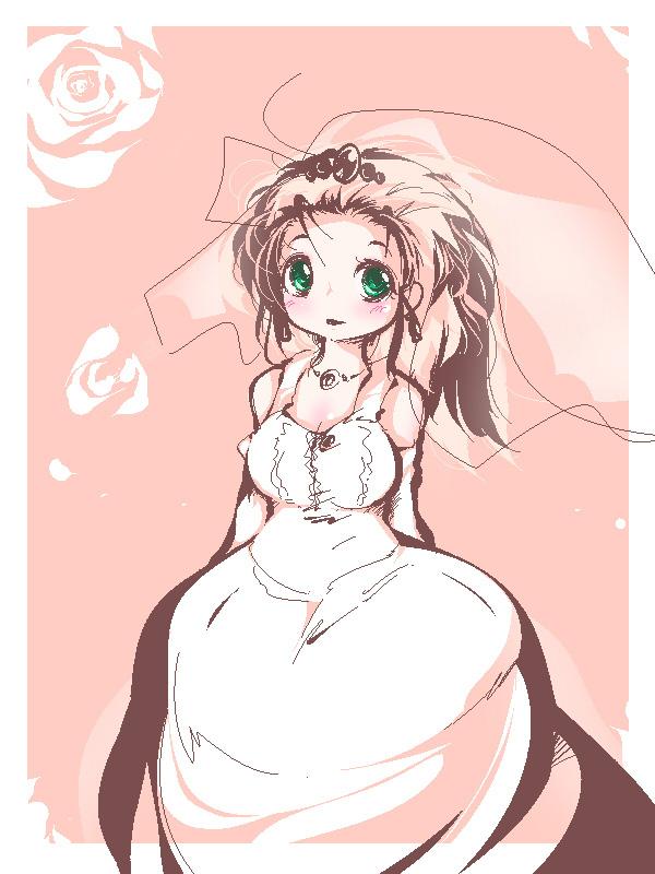 The bride Transforms 0