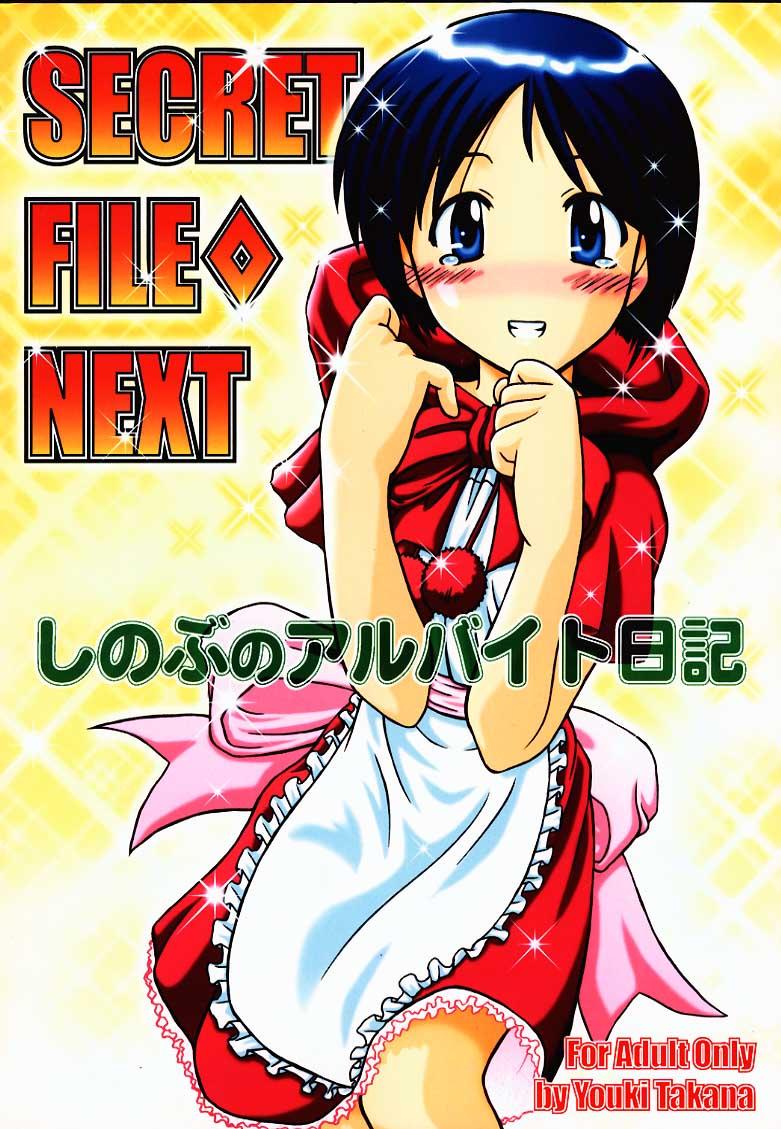 Secret File Next Shinobu no Arbeit Nikki 0