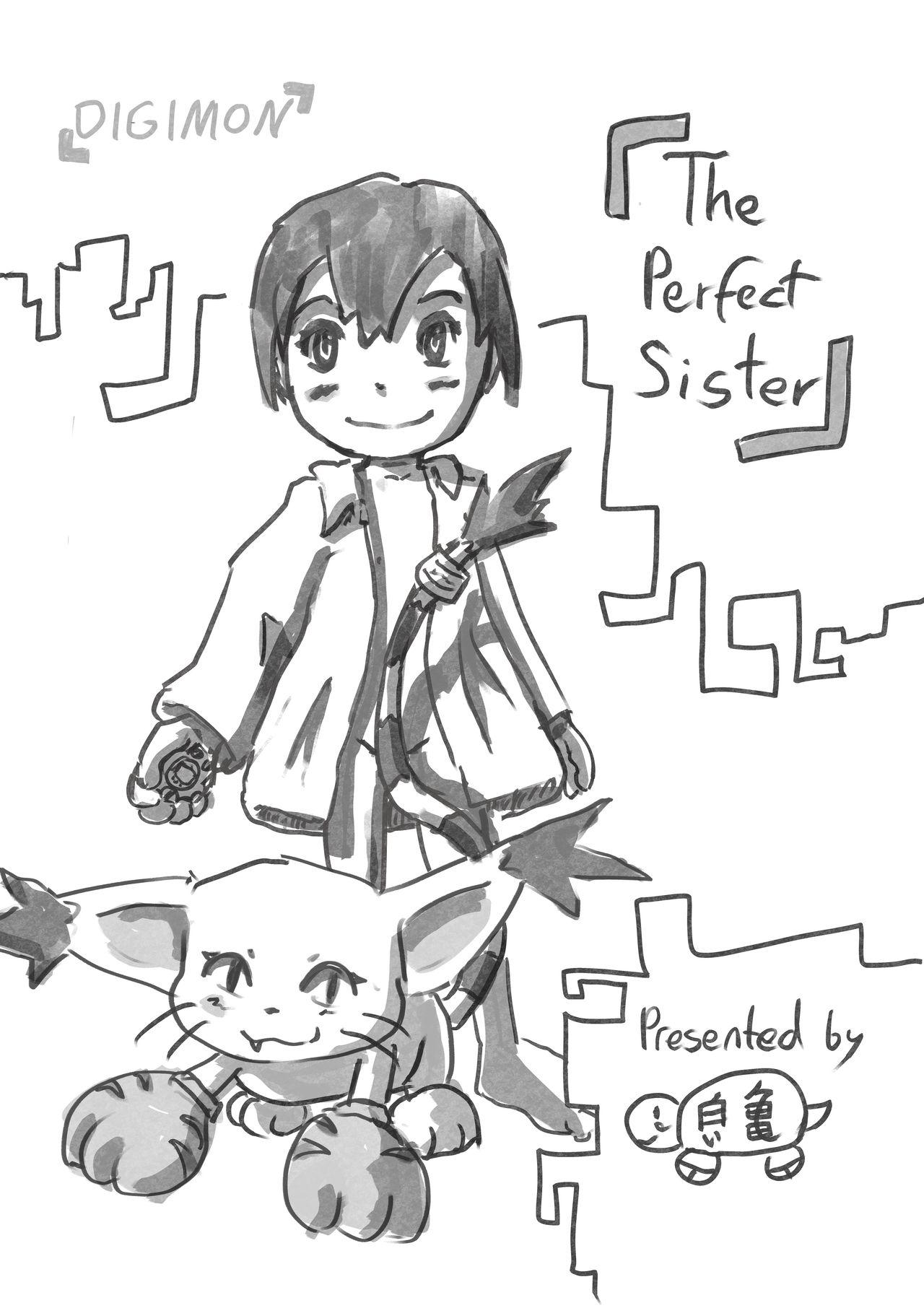 The perfect Sister 0