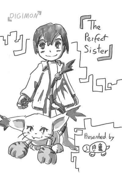 The perfect Sister 0