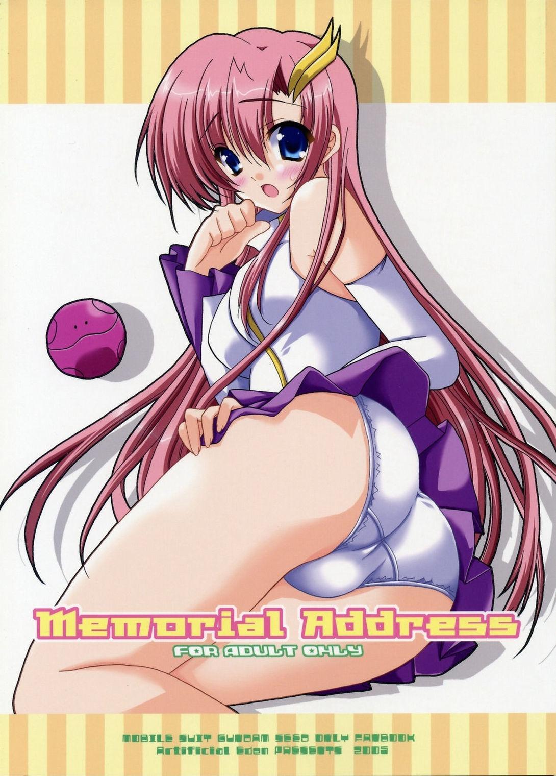 18yo Memorial Address - Gundam seed Horny - Picture 1