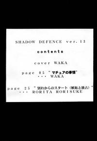 Shadow Defense 13 3