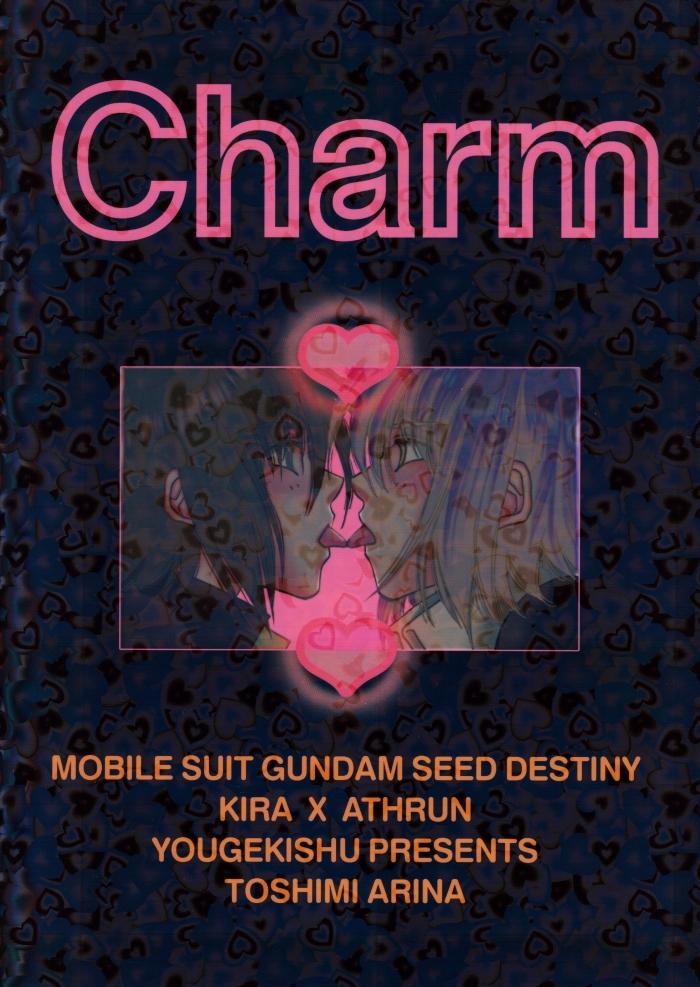 Clit Charm - Gundam seed destiny Exotic - Page 22