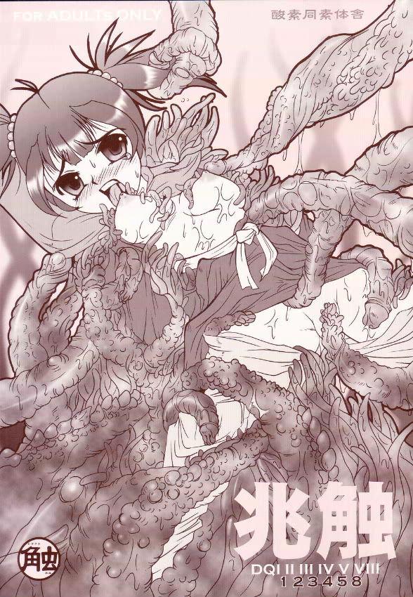 Porno 18 Tyousyoku - Dragon quest Hottie - Page 1