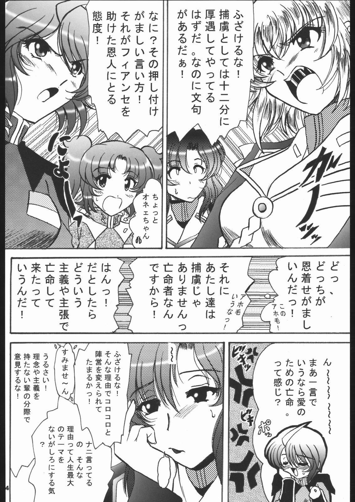 Amatuer Sex SREX - Gundam seed destiny Grandma - Page 3