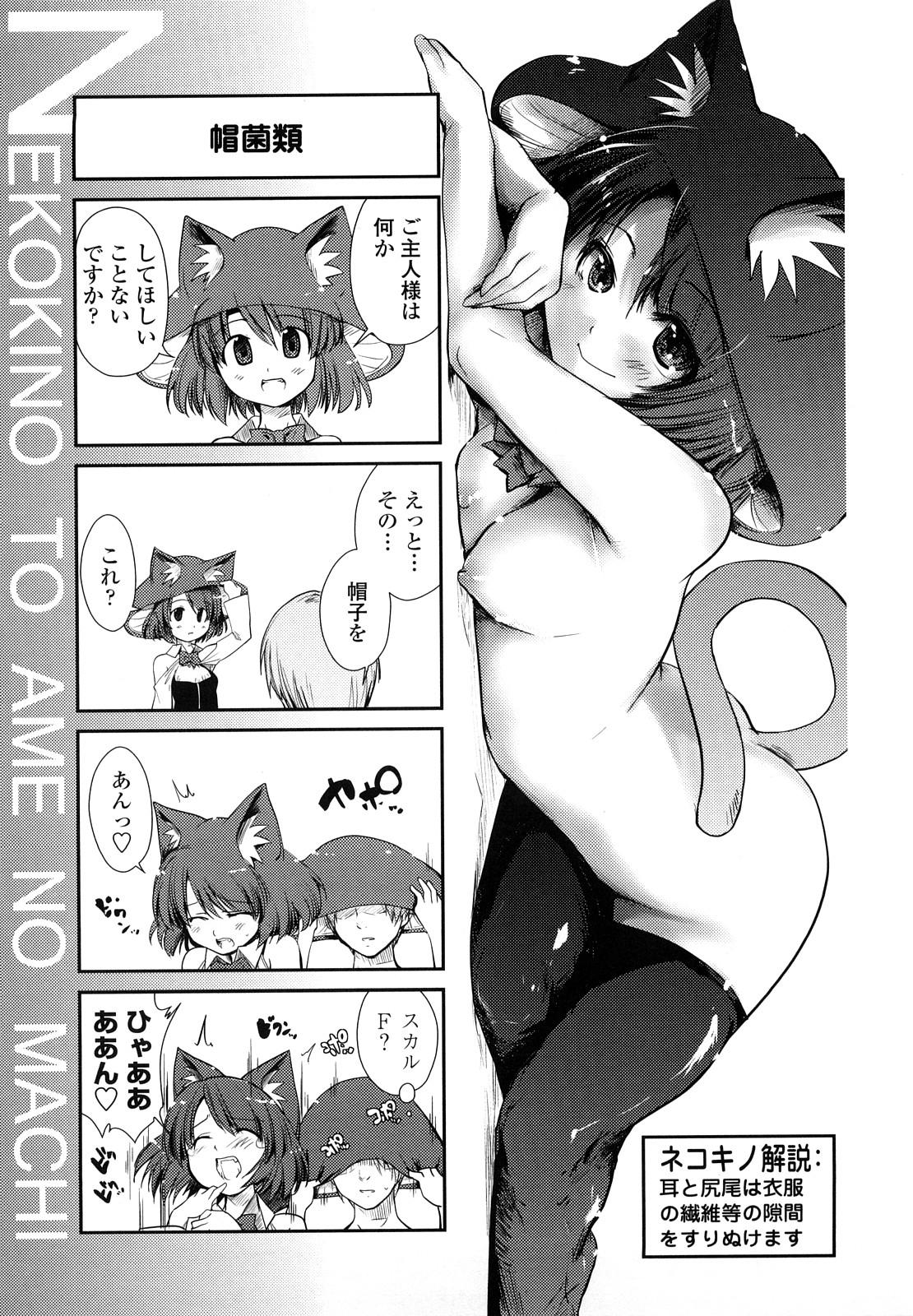 Nekokino to Ame no Machi - Cat Mushroon Girl And Town of Rain 68