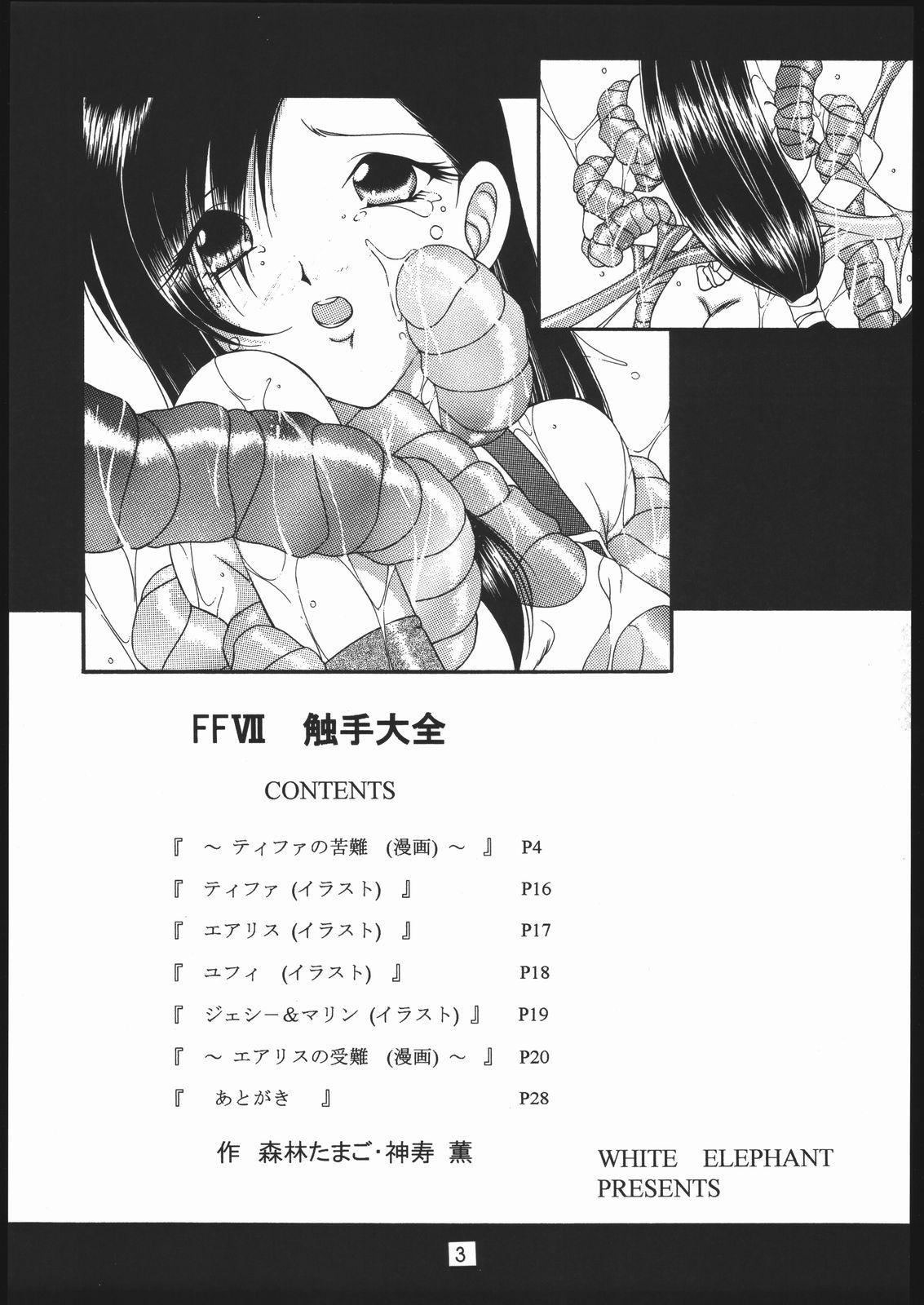 Anal Gape FFVII Shokushu Taizen - Final fantasy vii Lips - Page 2