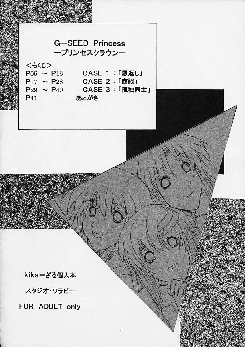 Shavedpussy G-SEED Princes - Gundam seed Gemendo - Page 3