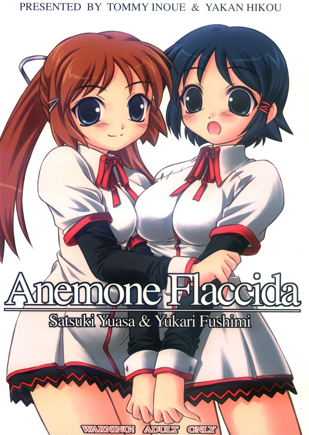 Anemone Flaccida 0