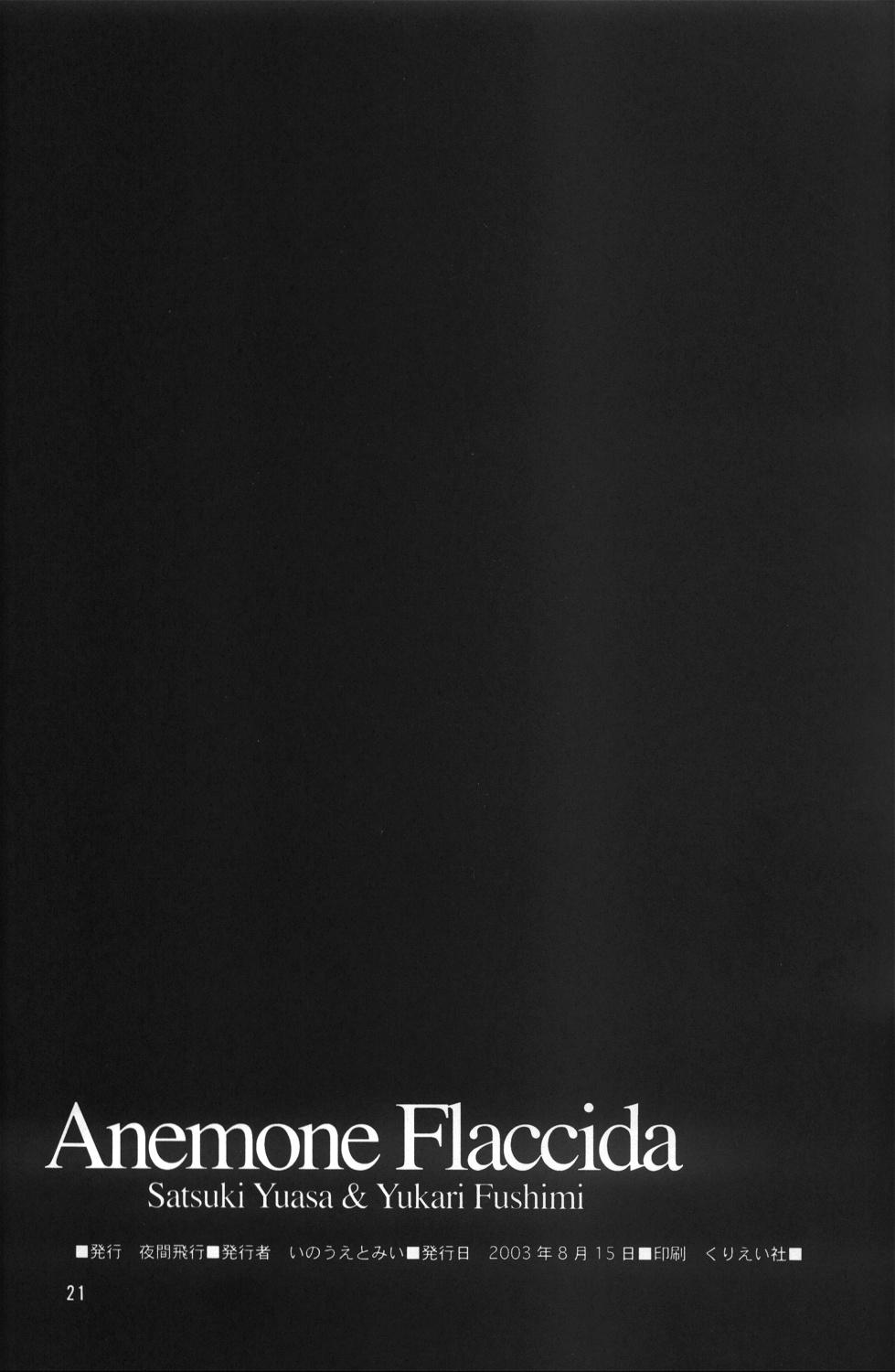 Anemone Flaccida 19