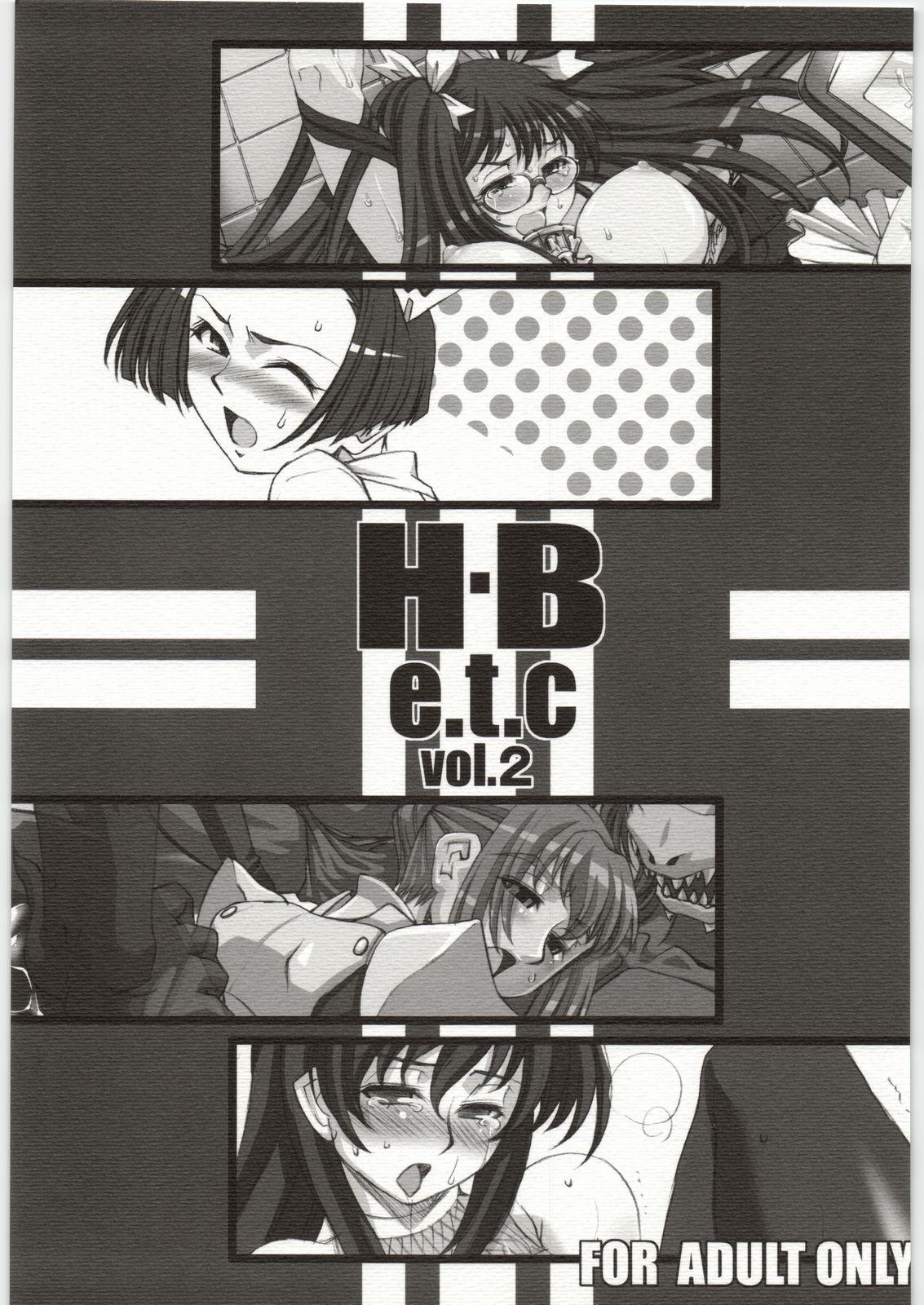 Tight H.B e.t.c vol.2 - Dragon quest Rance Tower of druaga Air gear Insertion - Picture 1