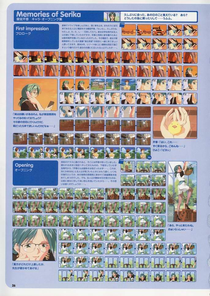 Super Real Mahjong Visual Fan Book Perfect Collection 31