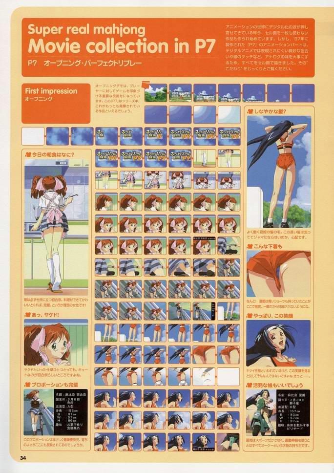 Super Real Mahjong Visual Fan Book Perfect Collection 40