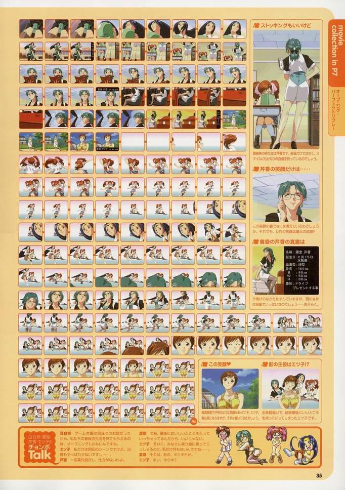 Super Real Mahjong Visual Fan Book Perfect Collection 41