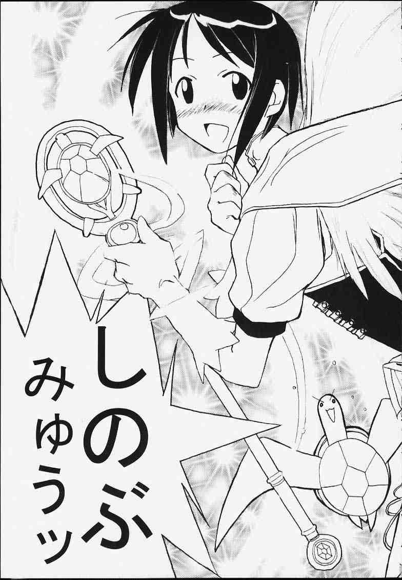 Heart Captor Shinobu 11