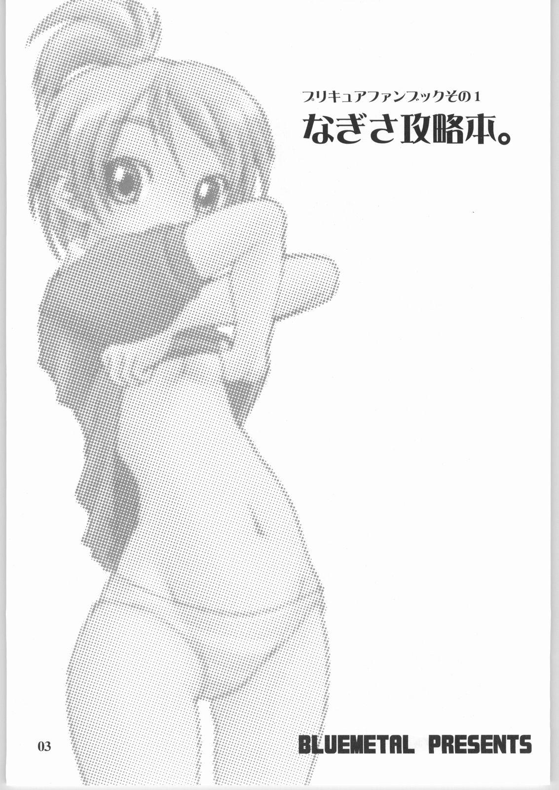 Panty Nagisa Kouryaku Bon. - Pretty cure Anus - Page 2