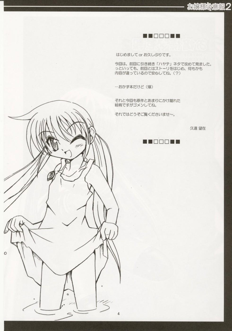 Milfs Ojyou-sama Chyuuihou 2 - Hayate no gotoku Rebolando - Page 3