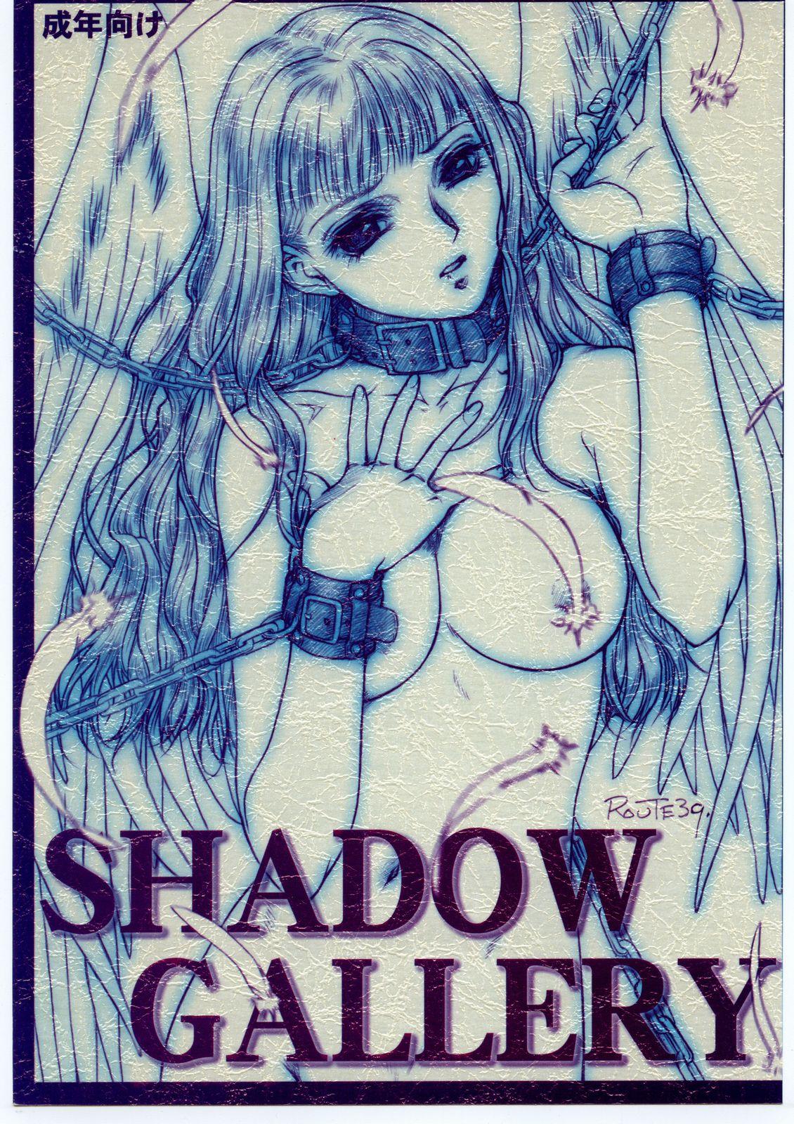 SHADOW GALLERY 0