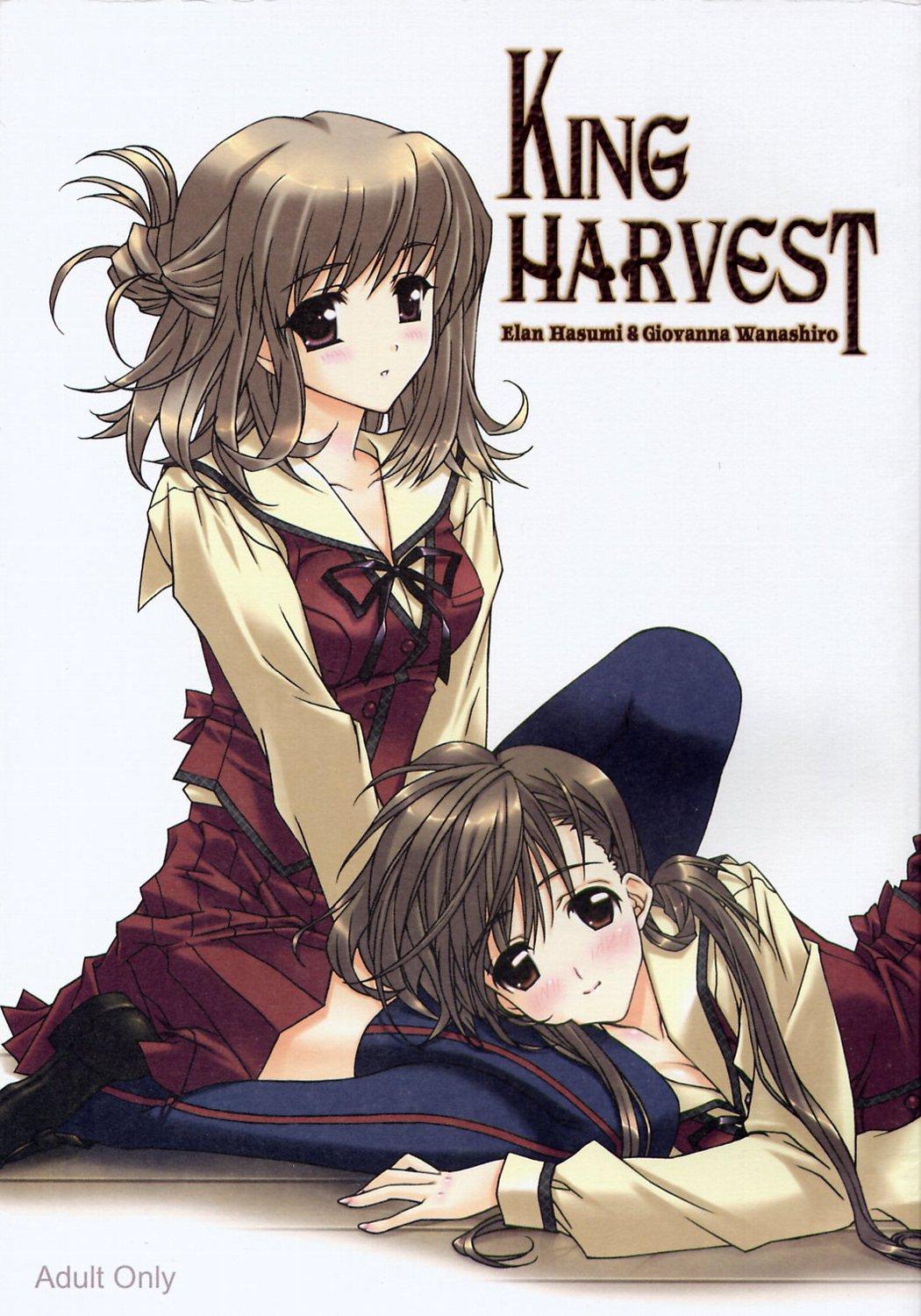 Reality King Harvest - With you Comendo - Picture 1