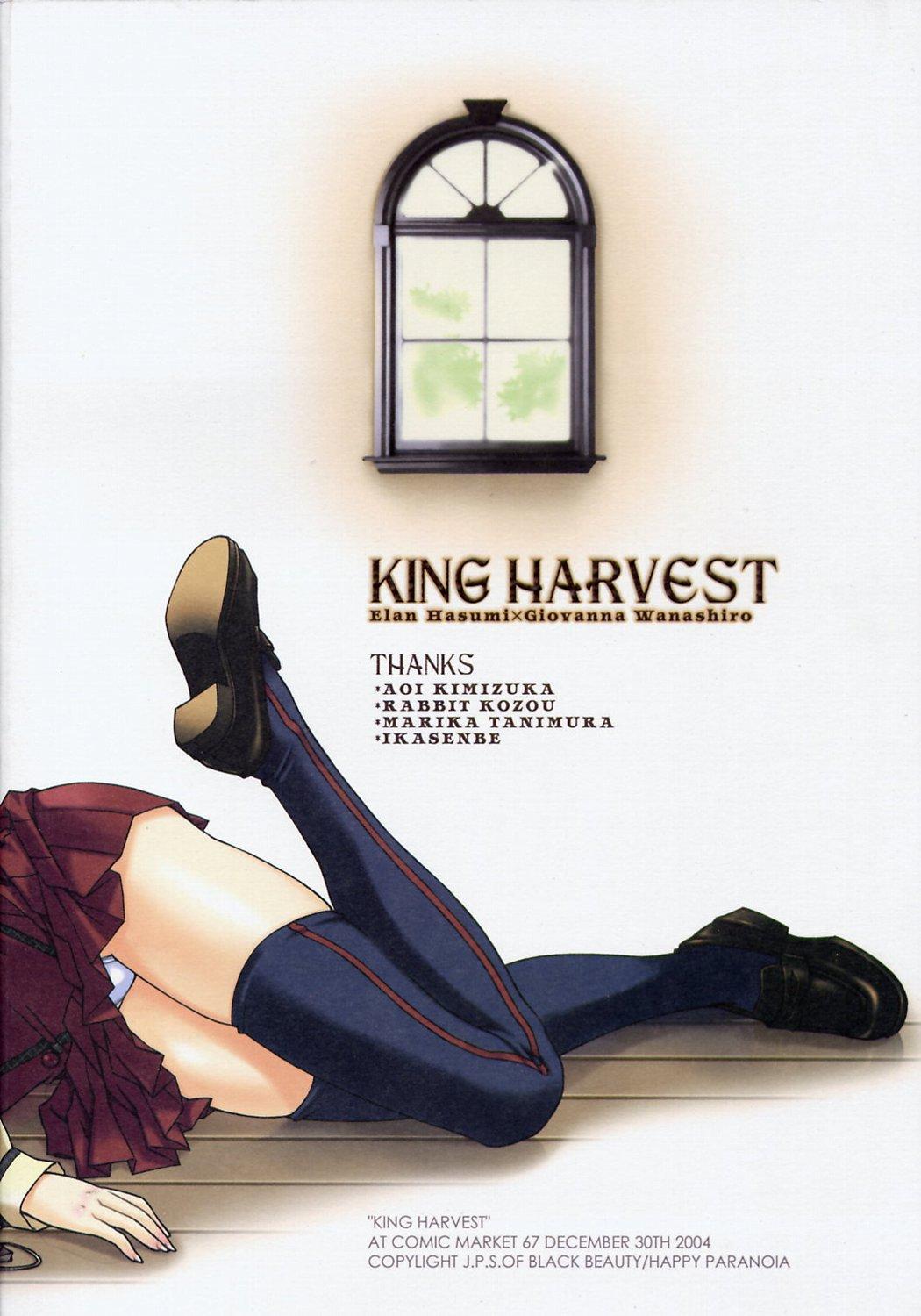 King Harvest 41