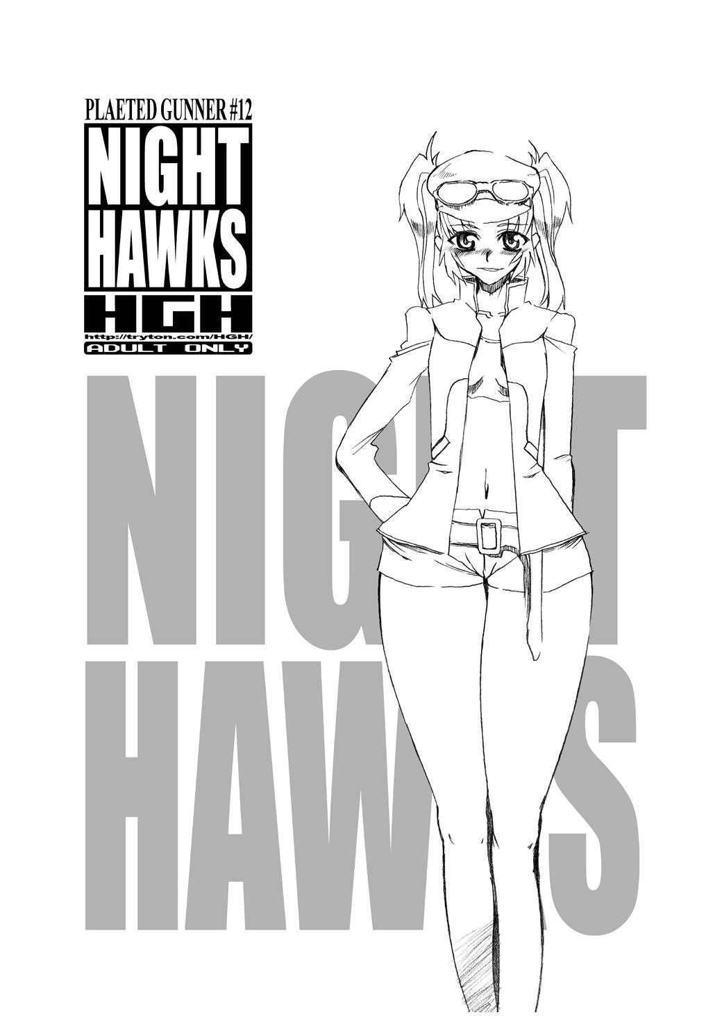 Night Hawks Quadrilogy 3