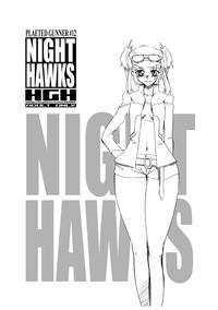 Night Hawks Quadrilogy 4