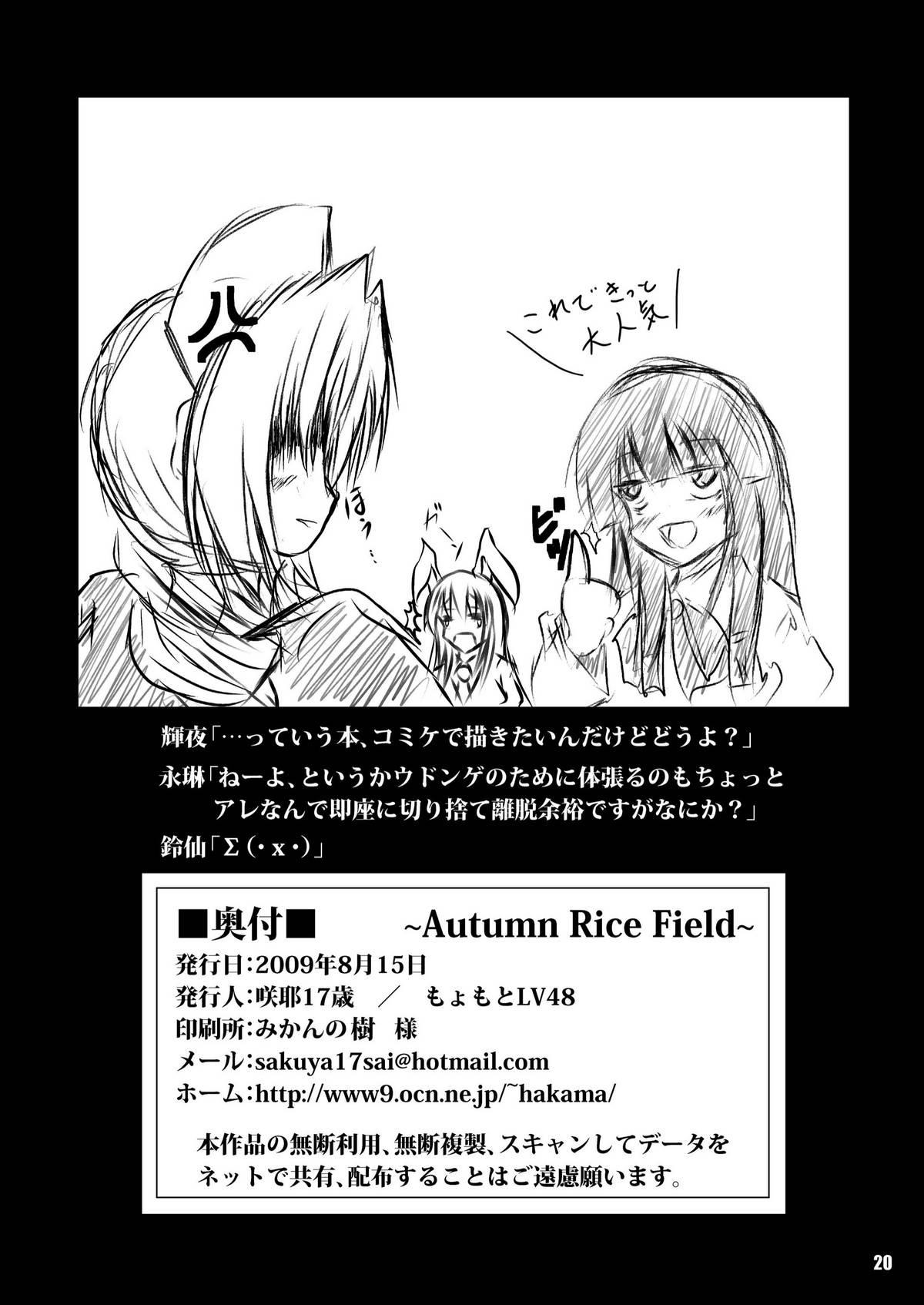 Autumn Rice Field 21