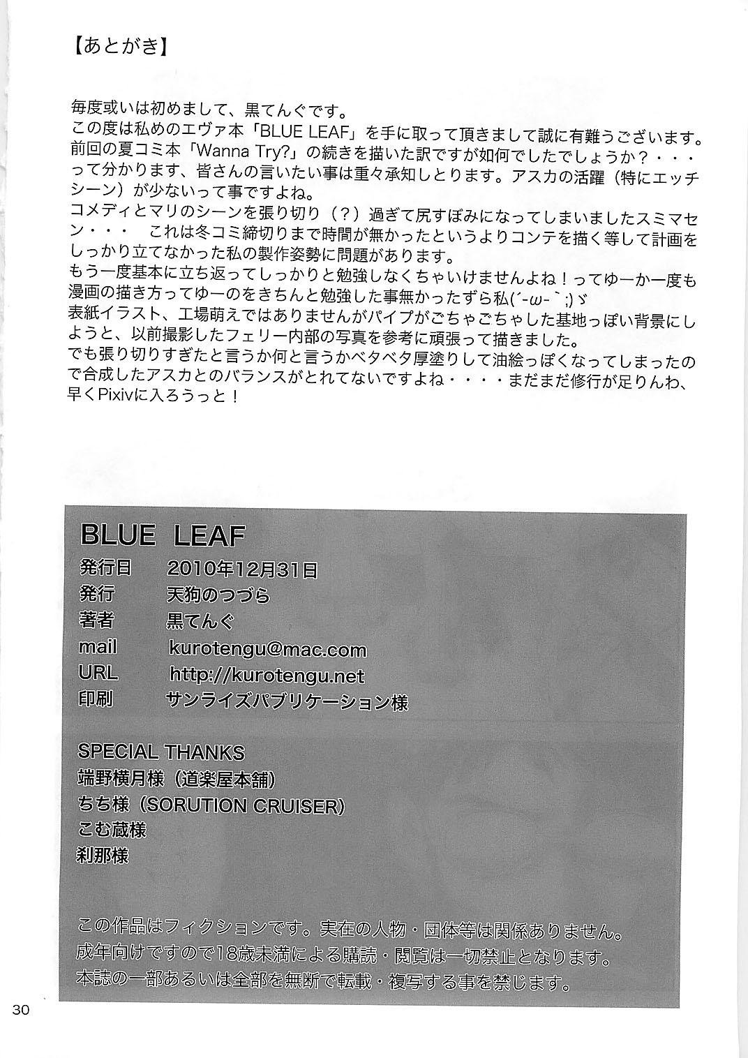 BLUE LEAF 29