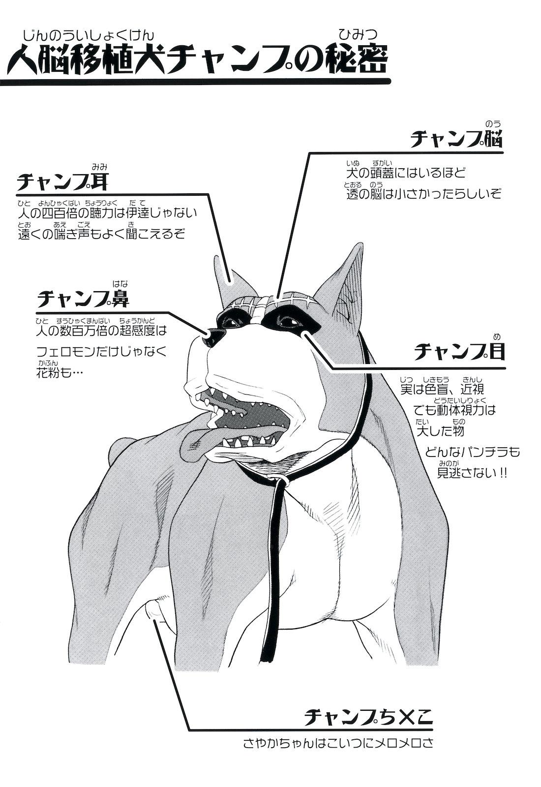 Inu no Seikatsu - A Dog's Life 5
