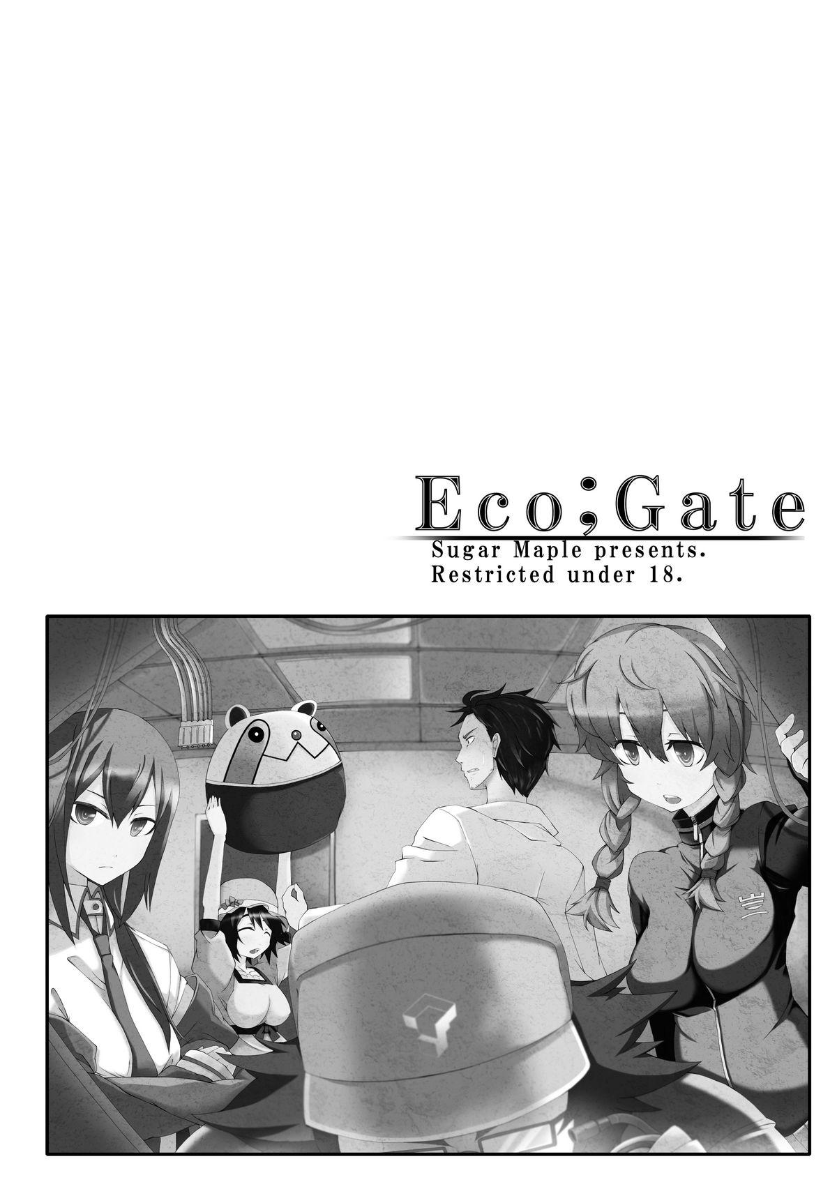 Eco;Gate 12
