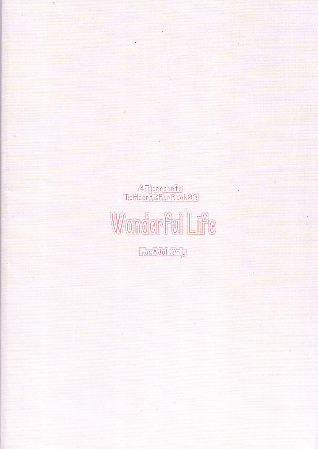 Wonderful Life 17