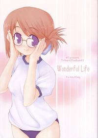Wonderful Life 1