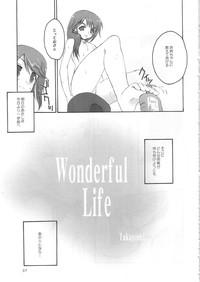 Wonderful Life 6