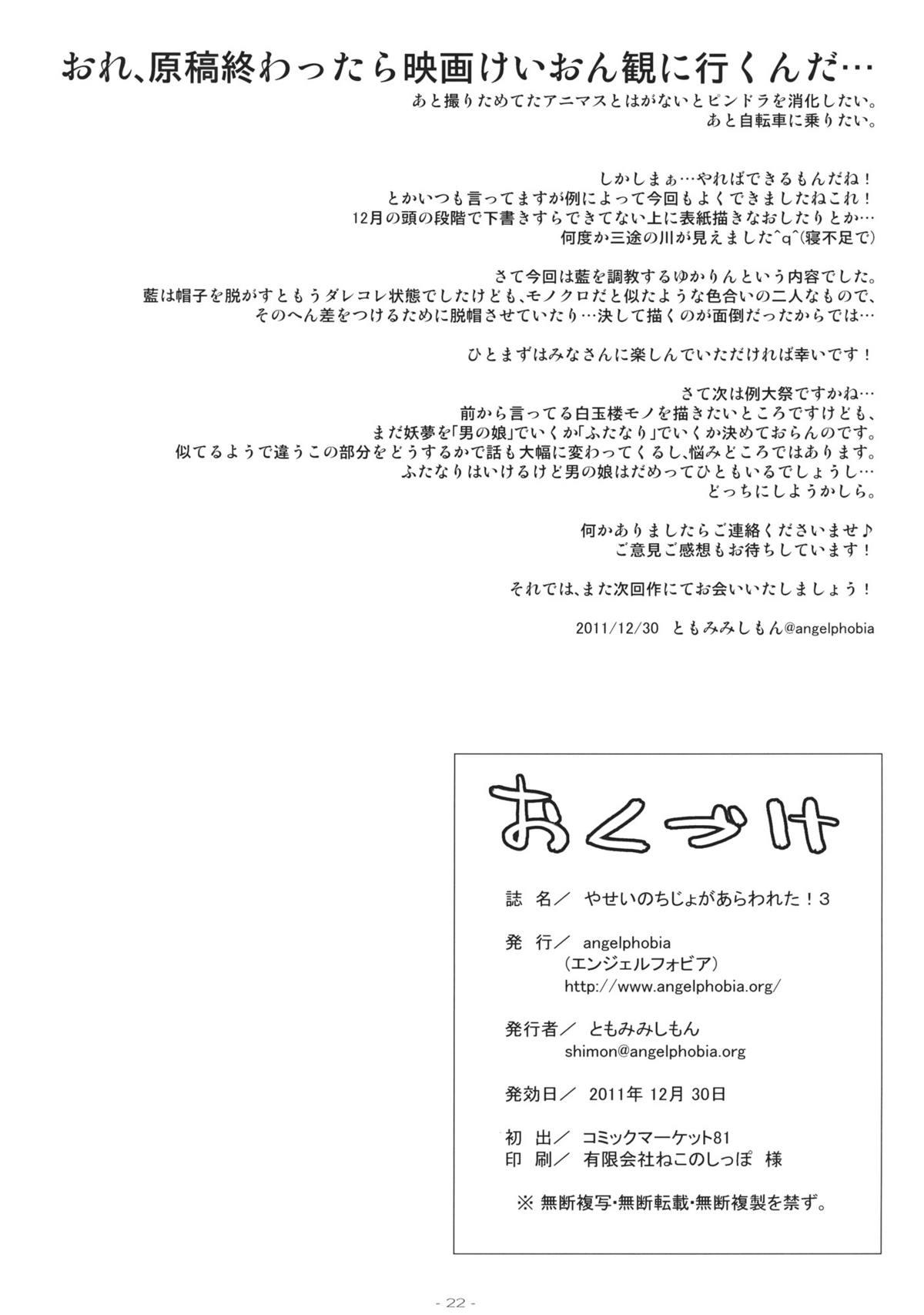 Soles Yasei no Chijo ga Arawareta! 3 | A Wild Nymphomaniac Appeared! 3 - Touhou project Corno - Page 22