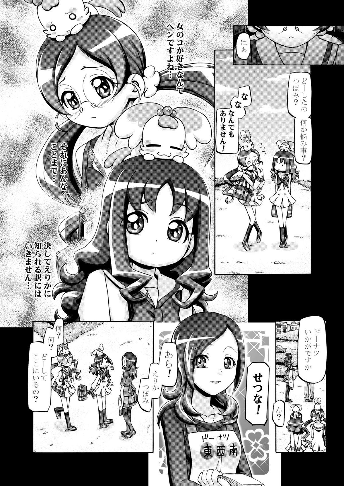 Guys Hato puni - Heartcatch precure Gay Outdoors - Page 9