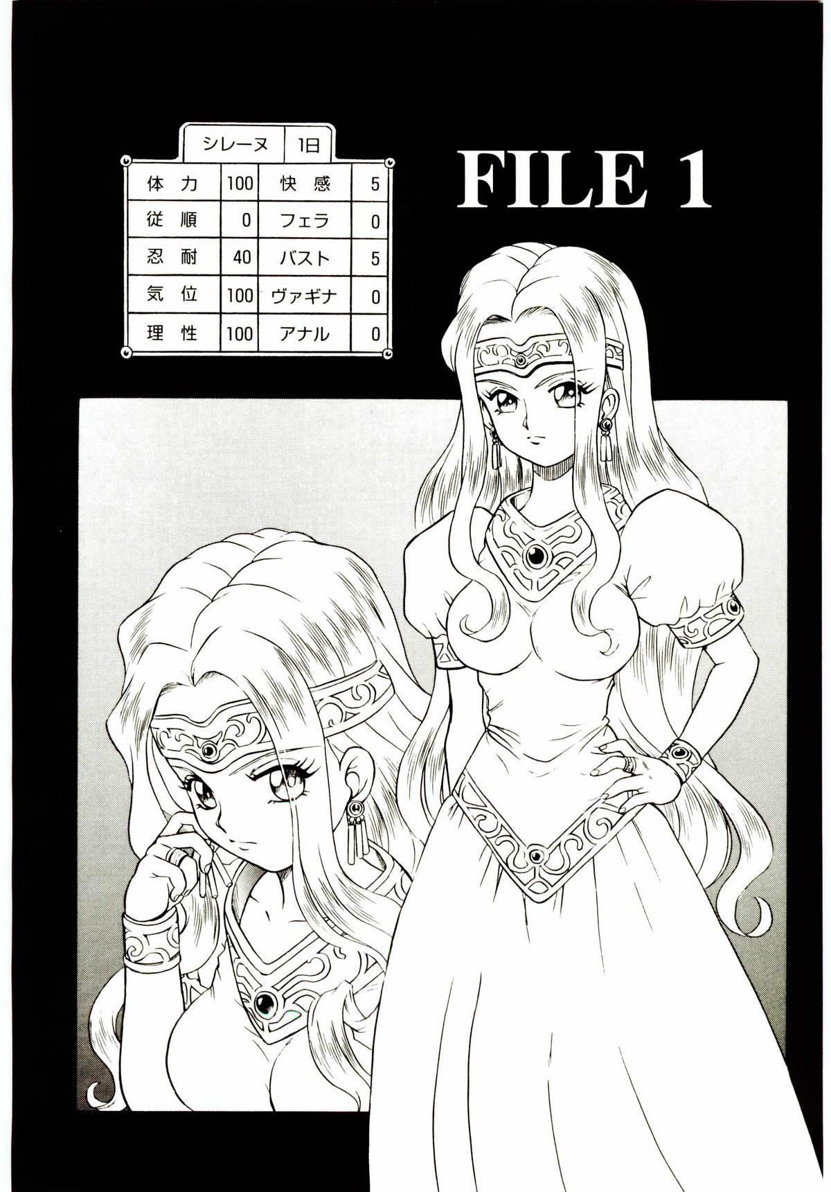 Princess File 12