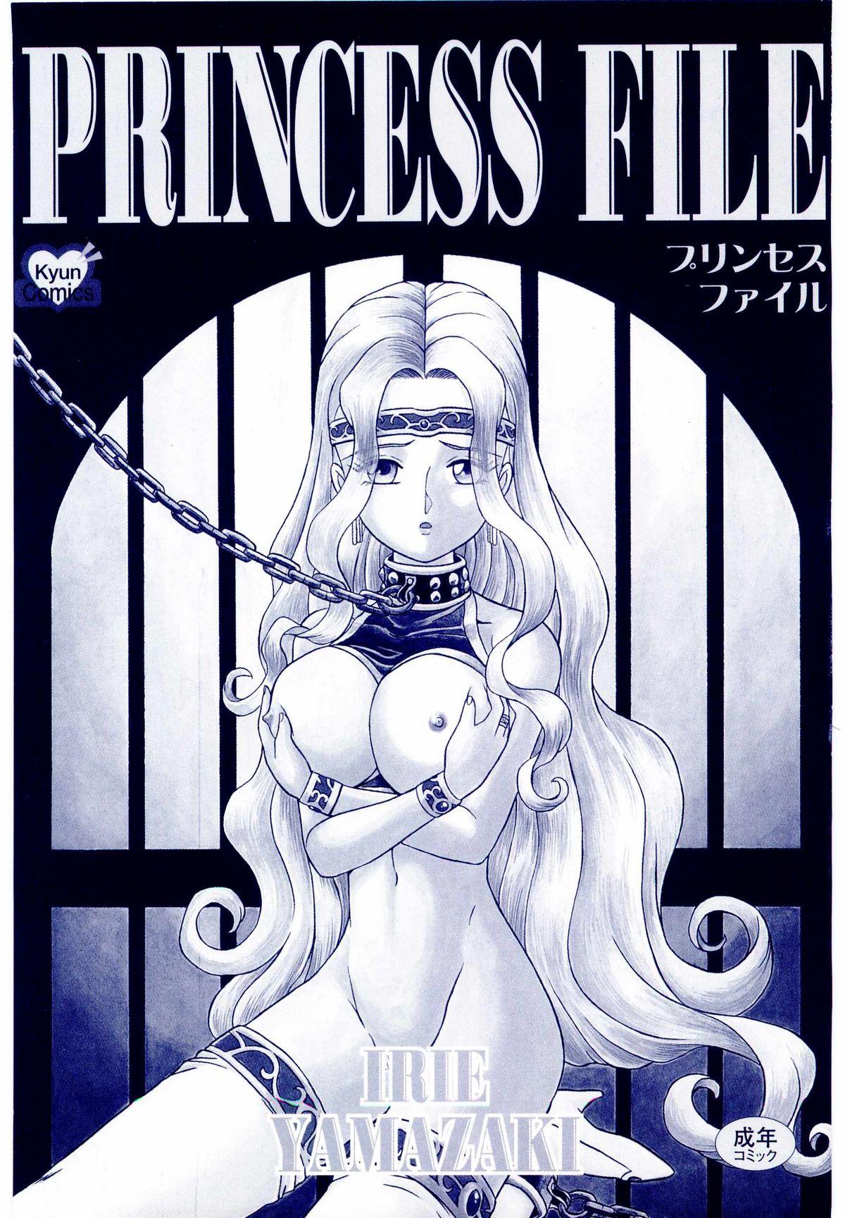 Princess File 4