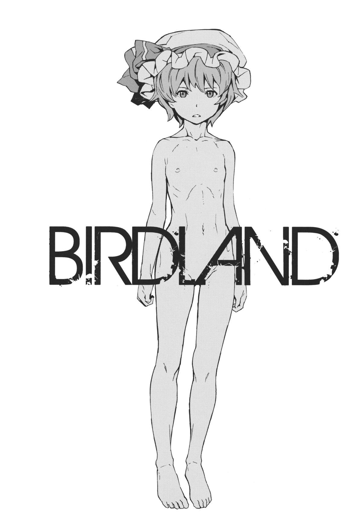 BIRDLAND 2