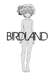 BIRDLAND 3