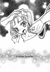 Trickle Scarlet 3