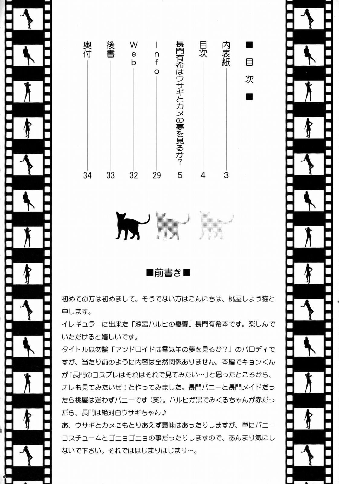 Black Woman Nagato Yuki wa Usagi to Kame no Yume o Miru ka? | Nagato Yuki Dreamt of "The Tortoise and The Hare"? - The melancholy of haruhi suzumiya Doggie Style Porn - Page 3