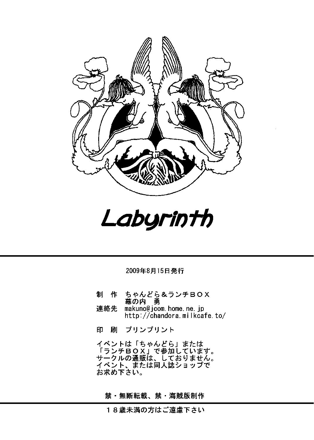 Labyrinth 41