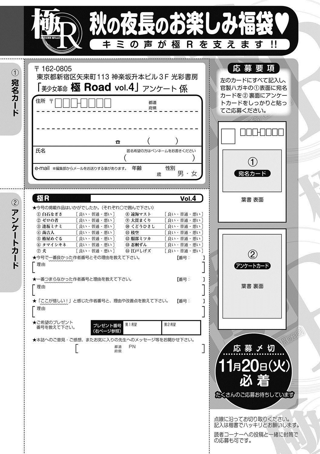 Bishoujo Kakumei KIWAME Road 2012-12 Vol.4 252