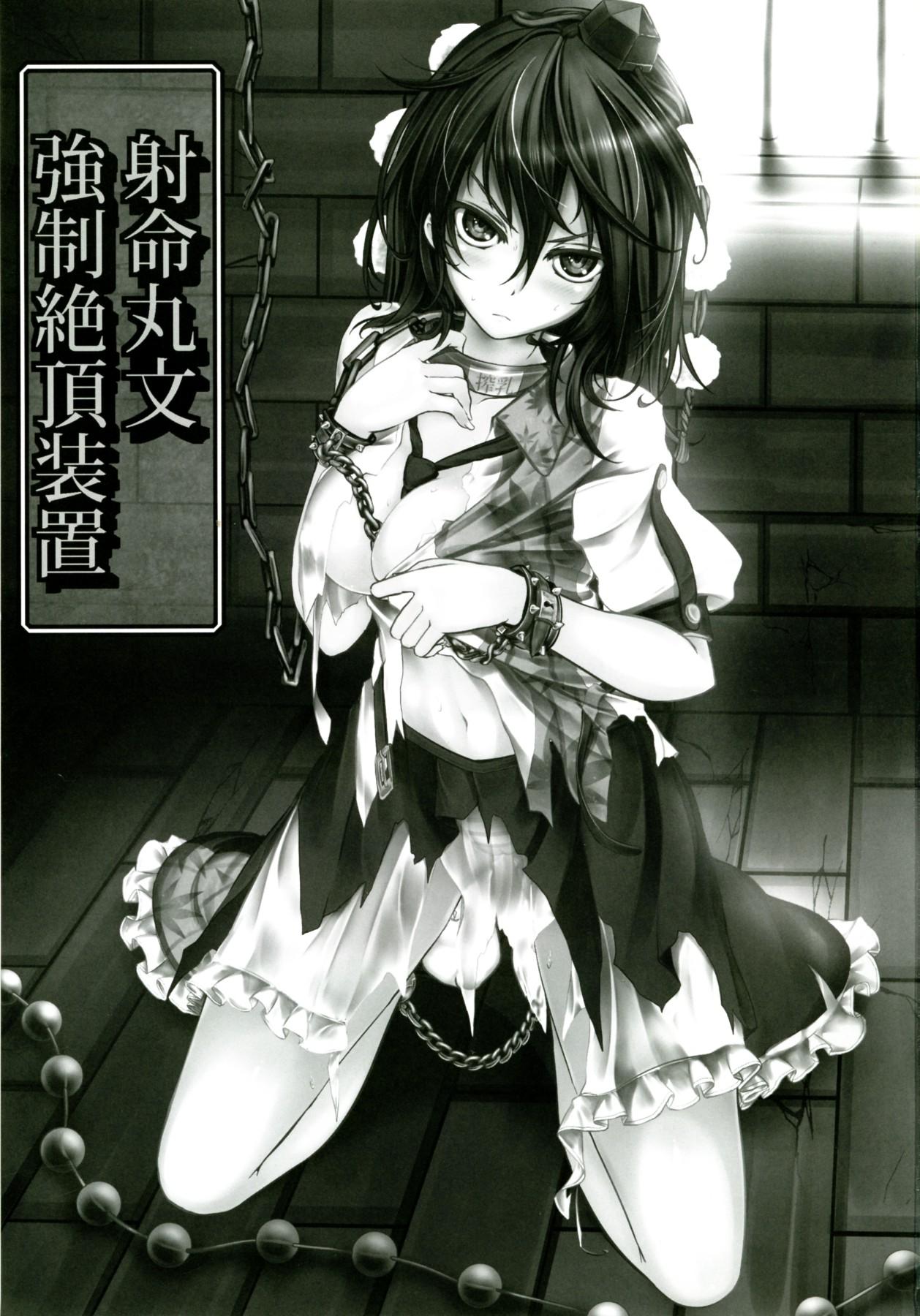 Shameimaru Aya Kyousei Zecchou Souchi 2