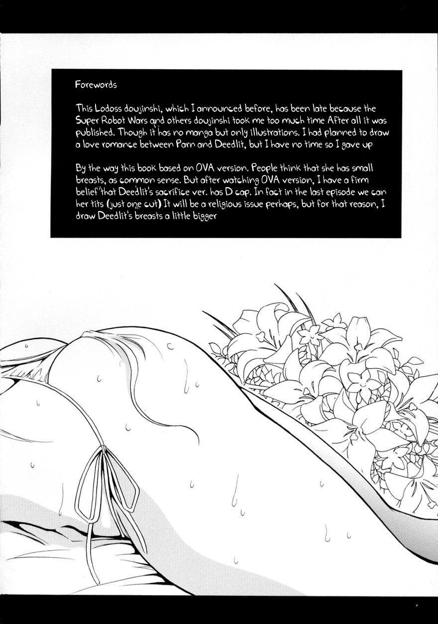 Nasty Light and Darlnell - Record of lodoss war Hugecock - Page 3