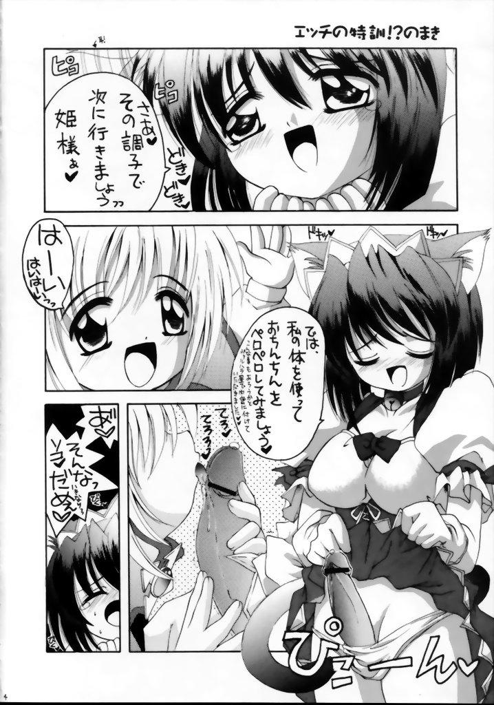 (C63) [Yukimi Honpo (Asano Yukino)] Waru-chan Rizel-chan Milk Kiss (Rizelmine, UFO Princess Valkyrie) 2