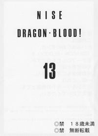 Nise Dragon Blood 13 2