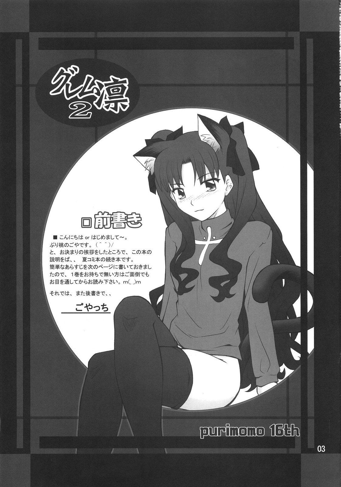 Transsexual Grem-Rin 2 - Fate stay night Fate hollow ataraxia Gaygroupsex - Page 2