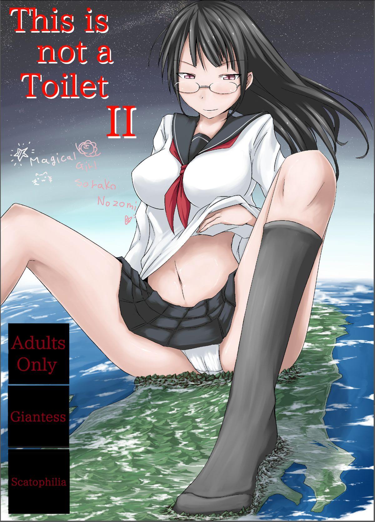 Koko wa Toile dewa Arimasen II | This is not a Toilet II 1